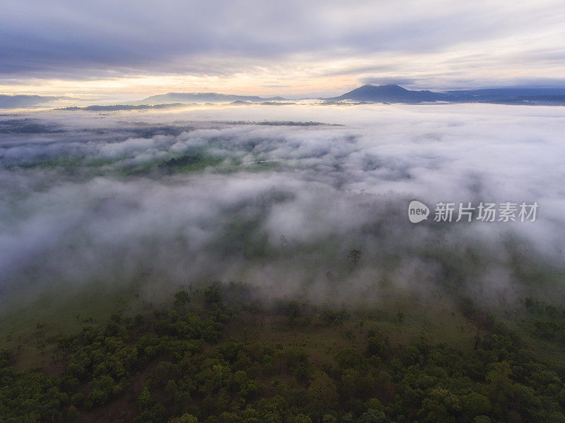 鸟瞰图(无人机拍摄)美丽的日出景观，森林，松树，山在一个雾蒙蒙的早晨在Thung Salaeng Luang国家公园，泰国。